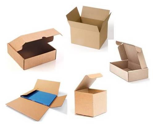 Cajas para mudanzas en Ricardo Arriaga - Cajas de cartón