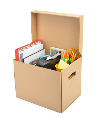 Cajas archivadoras - Archivo y clasificación - Material de oficina -  Productos