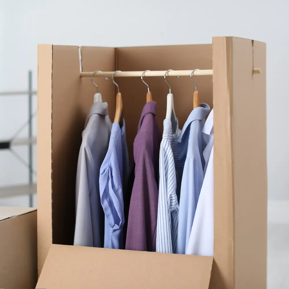 Caja armario para ropa: guía de uso | Ricardo Arriaga
