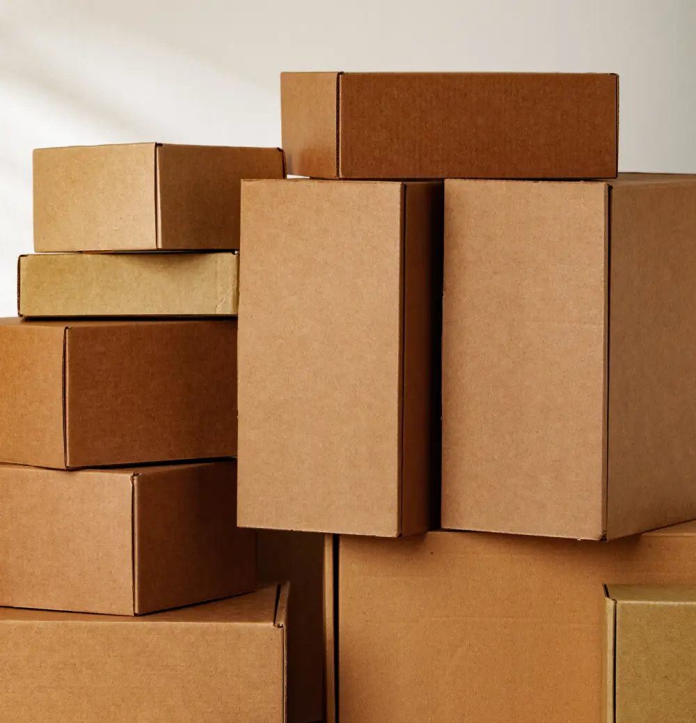 Fabricante de cajas de cartón para sector textil – Ricardo Arriaga Fabricante de cajas de cartón para sector textil – Ricardo Arriaga